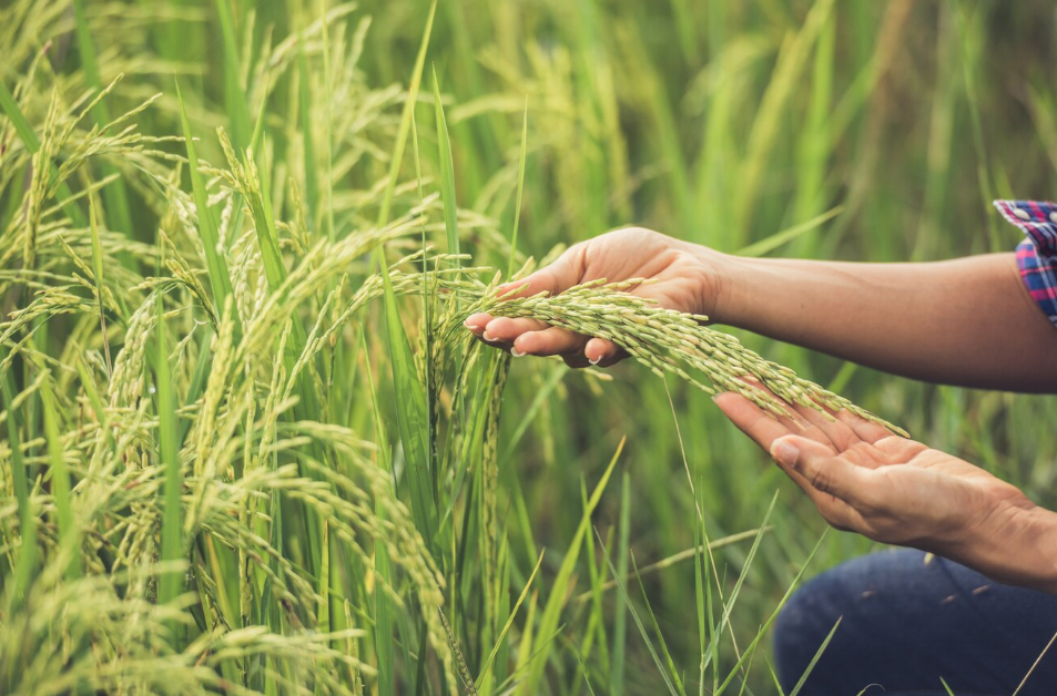 1750818146939687.png 1750818146939687.png