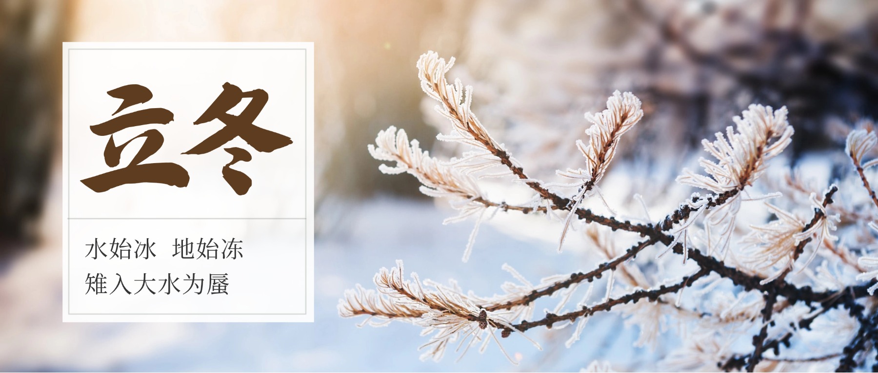 1762486006672381.jpg 立冬節(jié)氣雪地冰塊合成祝福公眾號首圖.jpg
